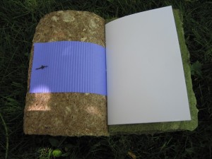 SP journal inner cover small